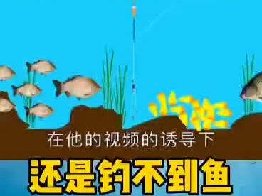 钓鱼为什么都要打重窝,打了重窝还钓不到鱼#钓鱼技巧 #野钓