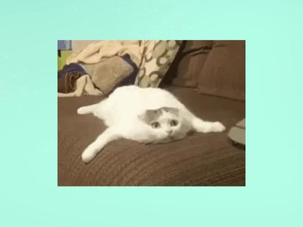 如何把视频格式转换成mp4?用这两个方法轻松解决 #视频格式转换成mp4 #视频格式转换 #MP4