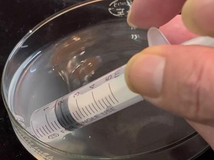 七条五步蛇的排毒量 #五步蛇 #五步蛇毒