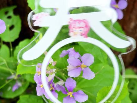 做谷教程📝手把手教你做文字镂空打卡棒🍀
#春天#打卡棒#教程#无料#物料