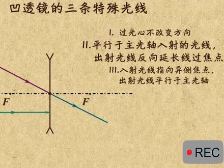 . 凹透镜三条特殊的光线