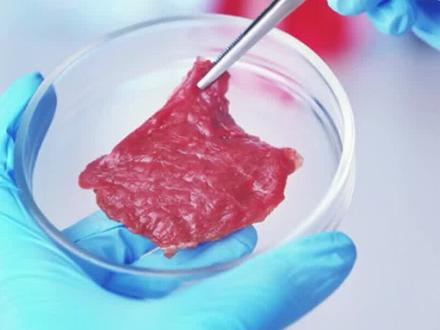 “种”一颗细胞能长出肉?什么是细胞培养肉? #FoodTalks有料 #培养肉 #未来食品 #可持续