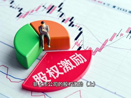 非上市公司的股权激励.mov