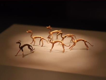 陕西历史博物馆12条神秘金龙,被盗6条成为历史悬案 #文物 #博物馆