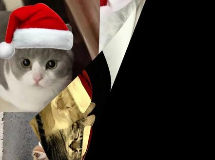 给小猫p圣诞帽的生成指令 #给小猫p圣诞帽的生成指令 #给小猫p帽子的口令 #猫咪圣诞帽教程 #豆包ai #豆包P图已经nextlevel了
圣诞树颜文字
圣诞树颜文字教程
圣诞树颜文字绘画
圣诞树颜文字文案
圣诞树颜文字手写
圣诞树颜文字素材
圣诞树颜文字
圣诞树颜文字表情符号
圣诞树颜文字图片
圣诞树颜文字电子版
圣诞树颜文字音频 猫咪圣诞帽
猫咪圣诞帽图片
猫咪圣诞帽头像
猫咪圣诞帽素材
猫咪圣诞帽特效
猫咪圣诞帽教程
猫咪圣诞帽
猫咪圣诞帽钩织教程
猫咪圣诞帽表情包
猫咪圣诞帽制作
猫咪圣诞帽编织 圣诞帽素材
圣诞帽素材图片
圣诞帽p图素材
圣诞帽素材
像素圣诞帽素材
圣诞帽素材二次元
圣诞帽素材文案
圣诞帽素材黑底
圣诞帽素材表情包
圣诞帽素材动漫
圣诞帽p图 小猫表情圣诞树
表情圣诞树教程
小猫表情圣诞树
圣诞树小猫头像
emoji表情圣诞树
小猫表情图
小猫圣诞树
圣诞树表情符号怎么打出来
小猫表情卡通
小猫圣诞树教程
微信小表情摆圣诞树 给小猫p帽子的口令
给小猫p帽子的口令
给小猫p圣诞帽
给小猫p帽子
饲养小猫口令
给小猫p图指令
给小猫戴帽子口令
给小猫p衣服口令
小猫口令
给小猫p的模板
给小猫p图口令 给小猫p圣诞帽
给小猫p圣诞帽
圣诞帽p图素材
小猫圣诞帽p图
小猫戴圣诞帽表情包
给小猫p圣诞帽的生成指令
小猫圣诞帽头像
给小猫戴圣诞帽搞笑
给小猫p帽子的口令
给小猫画圣诞帽
p圣诞帽