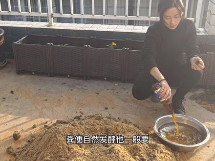 自制有机肥!#有机肥 #我的乡村生活 #营养土 #农业种植