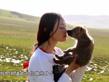 重返狼群🐺01人狼初见 李微漪辗转跋涉若尔盖草原
及时拯救家破狼亡的孤儿格林
#重返狼群十周年特别纪念版 #优酷视频 #格林是一匹狼