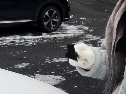 不能摸不能摸
终于轮到我卖霉豆腐了
#下雪了 #霉豆腐 #冬天 #抽象