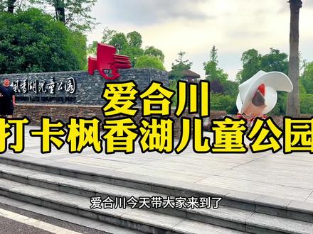 这才是取之于民用之于民!露营首选之地 #枫香湖儿童公园