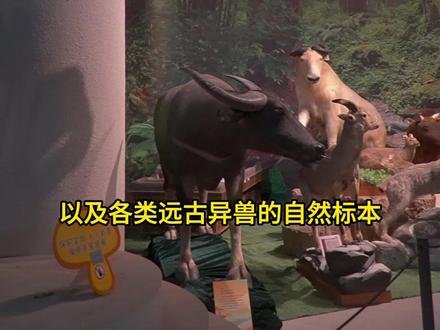 暑假快结束啦!没有来过福建博物院的朋友,一定要来看看!这里有福建五千年的历史,还有远古恐龙的各种化石!走过路过不要错过!#福建博物院