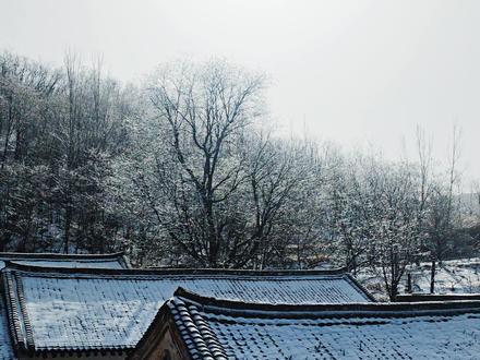 腊八安康,事事粥到,岁岁年年,温暖常伴。希望大家今天吃的开心。#一日一食一记 #家乡特色美食 #人间美食 #腊八粥 #真实生活中的我们