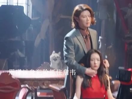 #钢铁森林 结局,周瑾抓住卧底詹韦,和江寒声举办婚礼#蔡文静 #井柏然 #好剧推荐 #新剧来袭