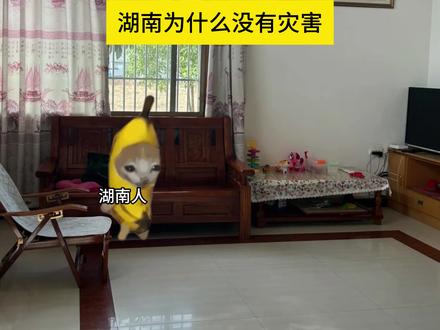 湖南为什么没有灾害? #猫meme
