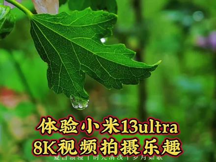 小米13Ultra可以拍摄8K视频,这个功能对于拍照用户很重要吗?什么人会用到8K视频功能?#手机摄影 #小米13ultra #手机拍摄技巧 #8k视频拍摄