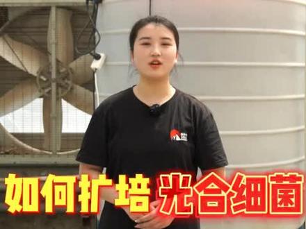 如何扩培光合细菌?看视频简单易学!#水产养殖 #水产人 #水产 #养鱼 #肥水 #鱼苗 #光合细菌 #鱼塘