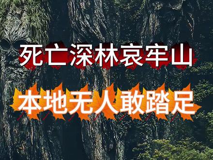 本地人都不敢踏足的死亡森林#李忆探险家 #探险 #记录 #原始森林 #哀牢山