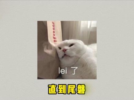 11月27日复盘 #股票#短线交易#合富中国