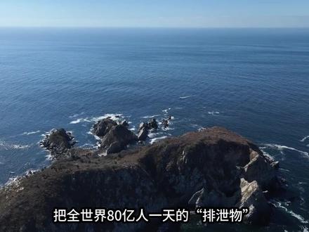 人类排泄物投太平洋竟成生态灾难?#科普 #知识 #青年创作者成长计划