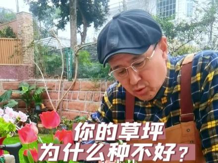 你的草坪种不好的原因找到了!就这三个字;“免修剪”。是不是这么回事?#花卉绿植 #草坪 #花园生活 #爱生活爱养花 #别墅庭院植物