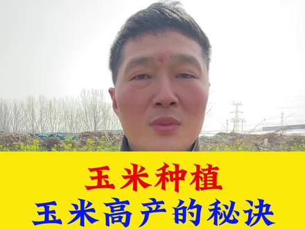 玉米种植管理口诀#三农 #三农种植 #种玉米 #玉米种植#玉米高产