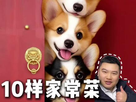10个狗必吃的年夜饭#冷知识科普 #这是个真实的事情 #狗狗年夜饭 #狗狗过年吃什么 #狗狗年夜饭吃什么