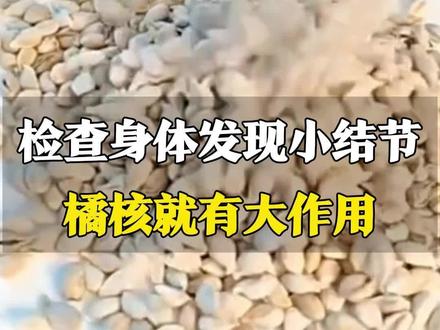 11月12日,河南郑州。橘子全身都是宝 橘核也有大用处,检查身体发现有小结节,橘核磨粉后服用 有化痰散结的作用#橘核 #结节