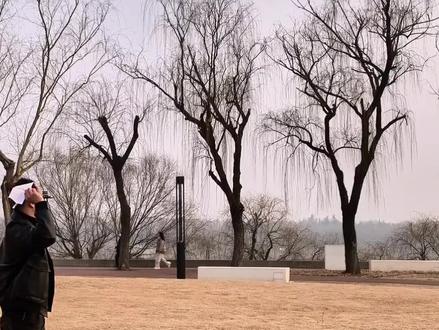 童年的纸飞机-它会回旋,100%空手接飞机!#生活小妙招 #手工diy #童年的记忆 #纸飞机教程