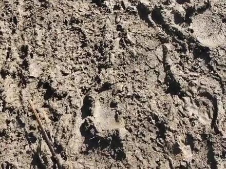 #自然风景 1月7日百丈岭古道,上溪村到镜湖(大秃头水库)折返,谁说比较近的?谁?13公里,被坑惨了