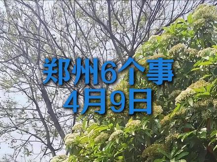 4月9号 郑州6个事 石楠花开了|新增严管路段|郑州伤心人|赠票中奖五百多万|物业送快递|河南省考成绩#郑州 #郑州小李 #郑州大民生 #郑州吃喝玩乐