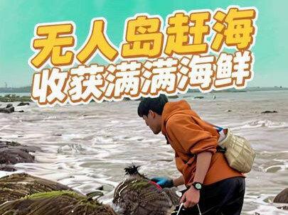 大过年无人岛赶海,带大家看看能收获多少海鲜,盐焗黄口大辣螺做法,油焗猪仔螺做法,爆炒辣螺的做法#一口海鲜一口乡愁#治愈系乡村美食#新农人计划2026#沉浸式赶海#赶海现抓现吃