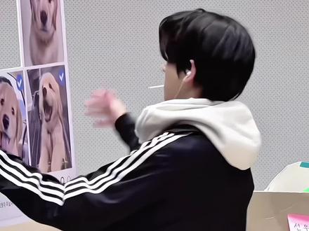 狗儿 i need 狗儿#enhypen #沈载伦 #小狗