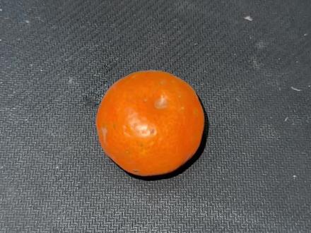 猜猜哪个砂糖橘是拼豆做的