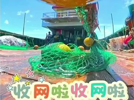 5月28日福建码头海鲜行情! #无法拒绝海鲜 #海鲜搬运工 #现捕海鲜 #渔民生活实拍 #天然海鲜