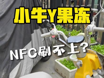 小牛Y果冻NFC刷卡点到底在哪? 小牛Y果冻NFC刷卡点到底在哪?很多人反馈刷不开?不存在的,是你没找到刷卡点#小牛Y果冻 #我就要小牛 #小牛闺蜜车