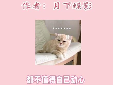 放心入坑~保甜!#月下蝶影 #玄色 #宫斗文