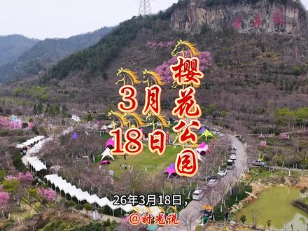 2026年3月18日,磐安樱花公园,樱花开始绽放,即将进入盛开期!附近河边两安樱花已经盛开!樱花节开幕式暂定于2026年3月22日,部分活动21日开始!今年新添加了樱花咖啡屋!土窑烤面包!星空顶泡泡屋!淘气堡!天幕之下,好友相聚!!看一看文旅小姐姐们的歌舞表演!自助烧烤,围炉煮茶,烤出春日滋味,樱花专列小火车:哐当哐当闯进春天,清妆汉服体验:樱花树下很出片,卡丁车:开启S弯加速,享受漂移快感,游船:缓行水面,载着樱风漫入春柔,共富市集:提供各类磐安本地特色小吃美食,
每周末上午10点-11点(视现场活动开展),地滚bulu大赛:一起来回忆童年爆笑彩蛋,
每周末下午14点-15点(视现场活动开展),春日枕头大战,动力设施安全区:萌宠摇摇马、攀爬设施
3月21日 双溪机车嘉年华活动预热活动 ,
3月21日磐安县“国际太极拳日”太极拳展演暨2026年第 三届“和美乡村”太极拳走进乡村活动,
3月22日浙江省第三届桨板公开赛,
3月27日一3月31日全国水彩画名家采风活动,
4月2日—4月3日浙江省木球精英邀请赛,#樱花季 #航拍最美家乡 #身心两安自在磐安 #繁花深处康养磐安#樱花