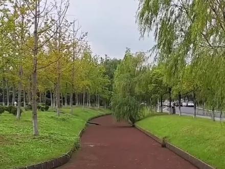 在外面玩一定要注意安全,有些地方不能去#地理科普 #危险行为请勿模仿 #带你看世界