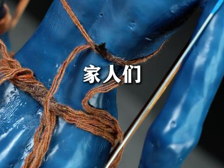 苦等13年的阿凡达3终于来了! #融艺 #阿凡达3 #詹姆斯卡梅隆 #diy #阿凡达3火与烬