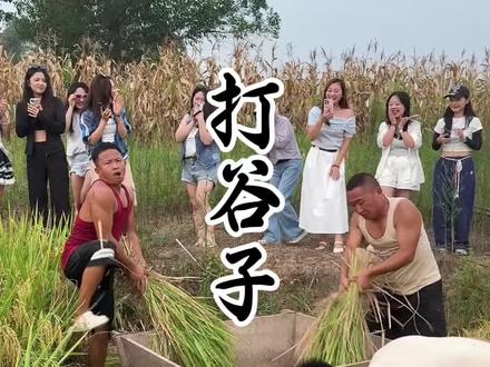 你的家乡打谷子了吗?……#打谷子 #搞笑 #意想不到的结局 #万万想不到 #社交快乐局