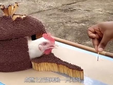 猪油那么香,为啥没人吃了?#主打的就是一个真实 #知识 #猎奇 #原创