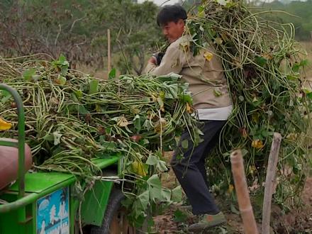 能撑起一个家的不是一个男人,也不是一个女人,而是夫妻两个人!#我的乡村生活 #新农人计划2022 #乡村守护人 #抖音乡村生活家