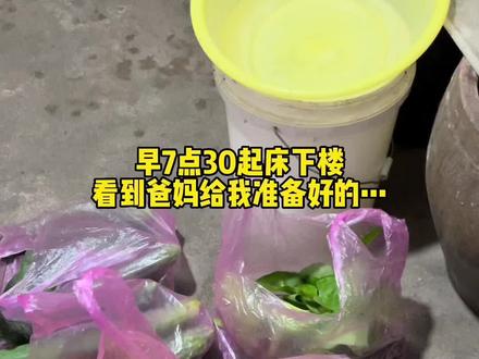 如果父母对我们的操心从未停止,那长大的意义到底是什么呢?#记录真实生活 #父亲节