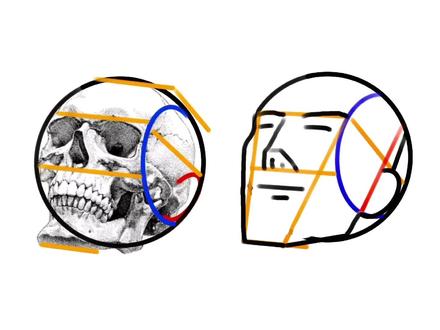什么是路米斯画法?路米斯是一个继伯里曼体系之后的集大成者,通过找寻头像当中的法则,总结出一套非常有效的起稿步骤!第四步,路米斯人物仰视视角侧面人物的规则与知识点!#美术教学 #素描头像 #素描 #速写