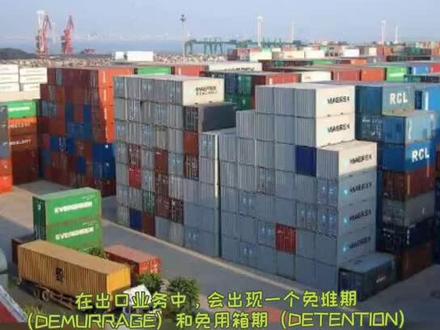 #航运科普#免堆期与免用箱期@DOU+小助手