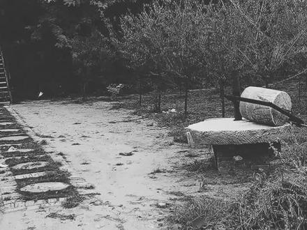 走遍天下还是咱大鄢古国好。大鄢陵有5000多年的历史了。好自豪。河南老乡你们是哪里?@抖音小助手