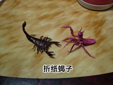 #折纸蝎子 18厘米22克蜡纸
