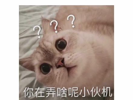 谁不喜欢香香软软的Omega呢??
#ABO #Omega