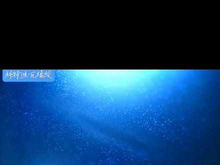 #天然橡胶 #天然橡胶产业 非洲最近几年天然橡胶产业发展迅猛,科特迪瓦是非洲主要的产胶国。