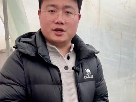 这个绿植竟然适合厨房 #迷迭香盆栽 #养花小知识 #绿植花卉 #绿植花卉基地 #迷迭香种植