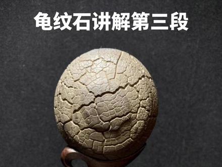 #龟纹石 #湖南郴州龟纹石形成讲解 #奇石 下个视频更新若根据出产环境,郴州龟纹石可分四类